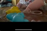 IMG_6056.jpeg