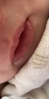 IMG_1063.jpeg