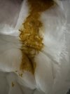 IMG_1083.jpeg