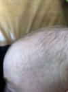 IMG_2957.jpeg