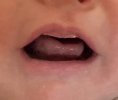 IMG_8028.jpeg