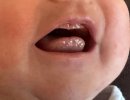 IMG_8010.jpeg