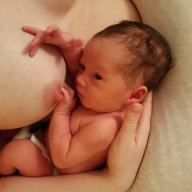 Bebes 1er Trimestre Forum Sur L Allaitement Et Le Maternage