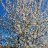 ElodieR5